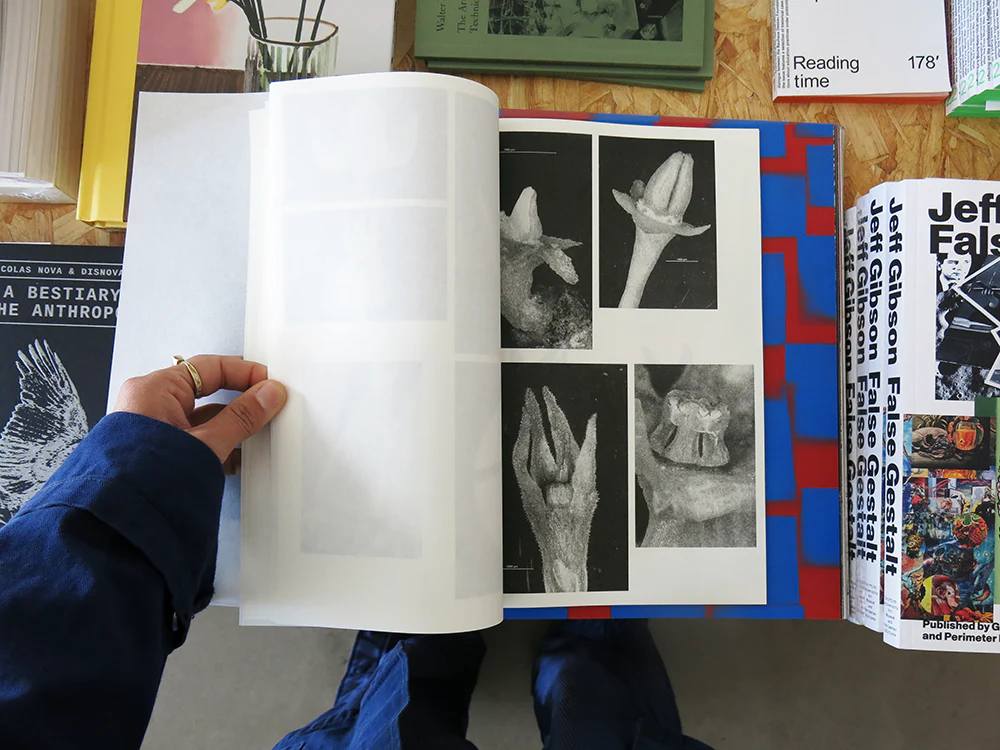 Loh Xiang Yun – Microscopic Images - Image 11