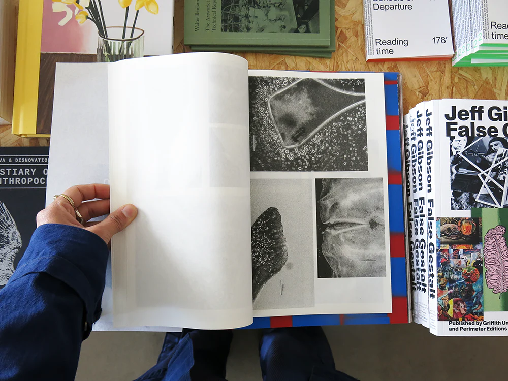 Loh Xiang Yun – Microscopic Images - Image 3