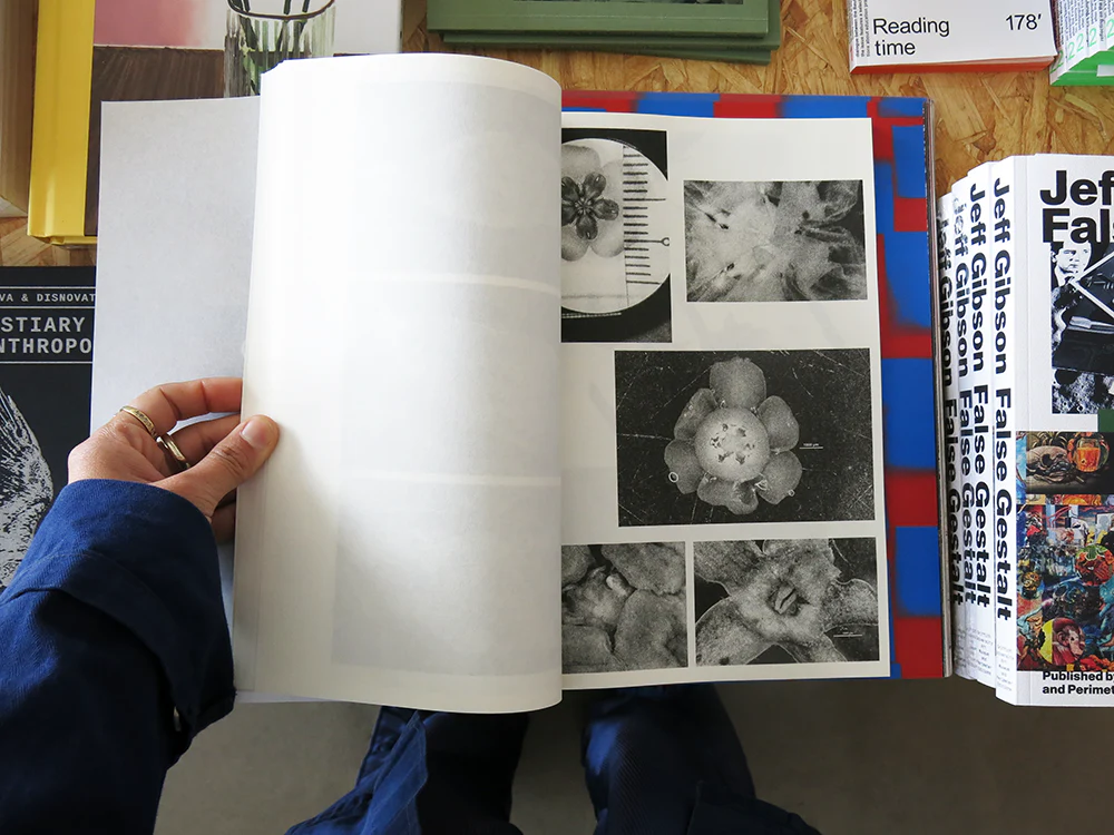 Loh Xiang Yun – Microscopic Images - Image 5