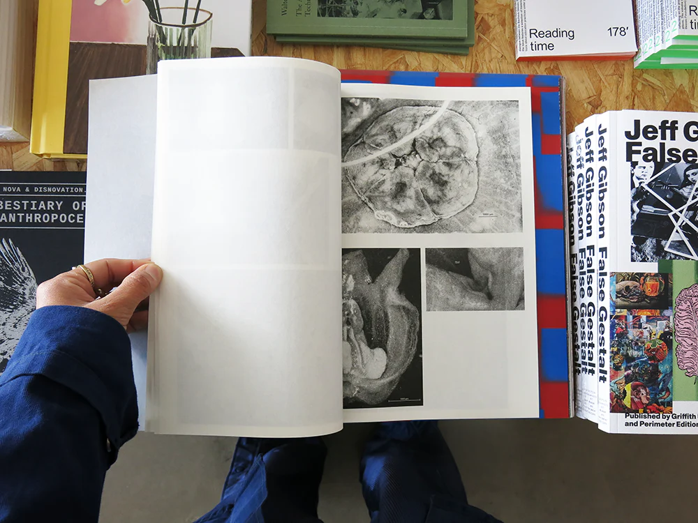 Loh Xiang Yun – Microscopic Images - Image 7