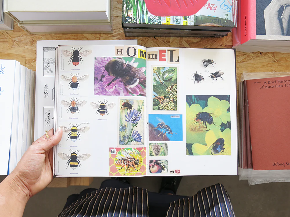 Lous Martens – Animal Books for Jaap, Zeno, Anna, Julian & Luca - Image 4