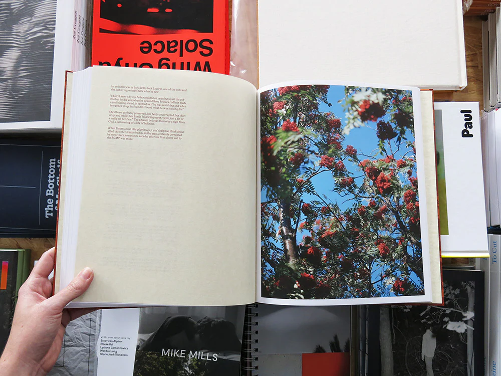 Lucas Olivet – Medicine Tree - Image 8