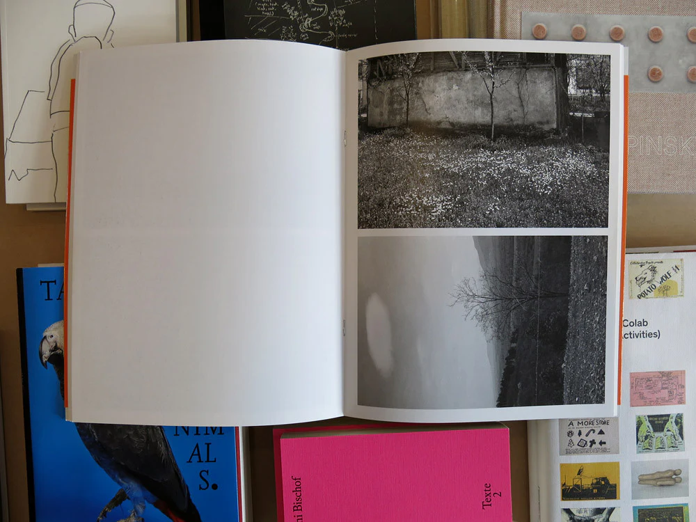 Lukas Hoffmann - Sharing Kalesija - Image 3