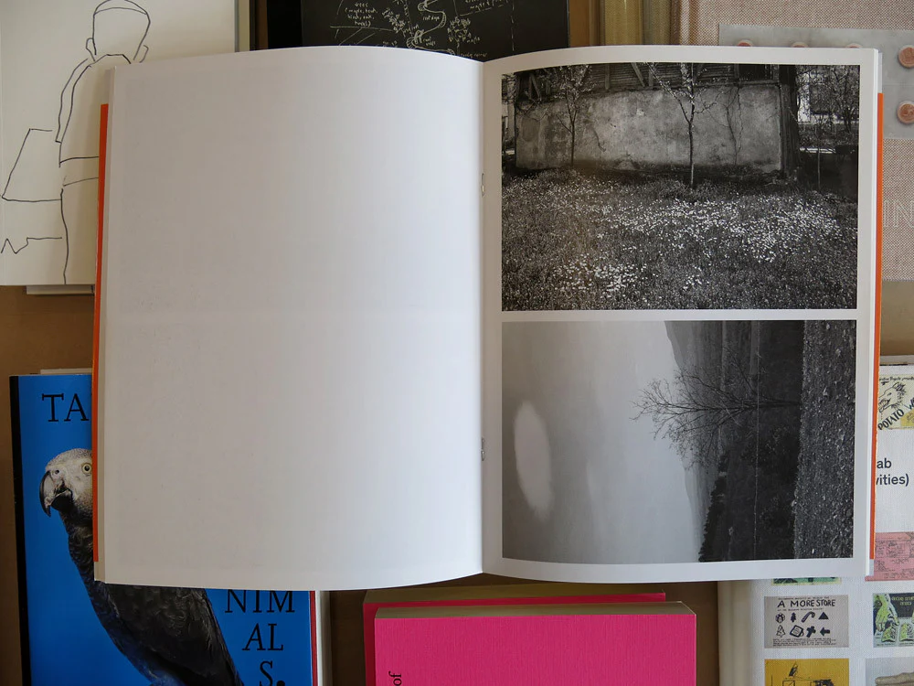 Lukas Hoffmann - Sharing Kalesija - Image 6