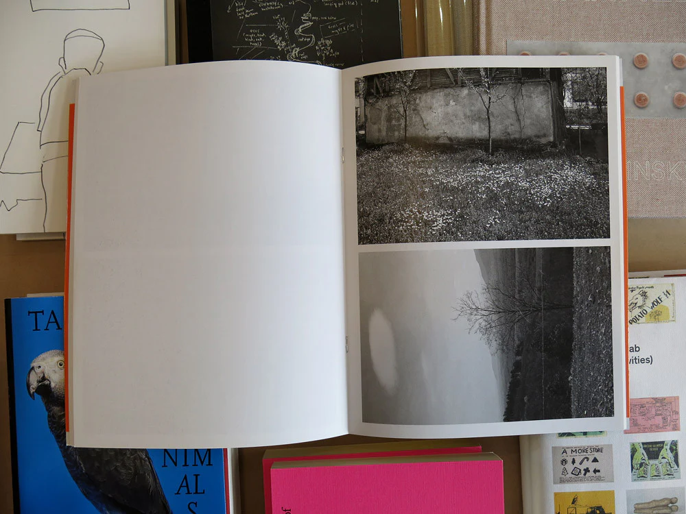 Lukas Hoffmann - Sharing Kalesija - Image 7