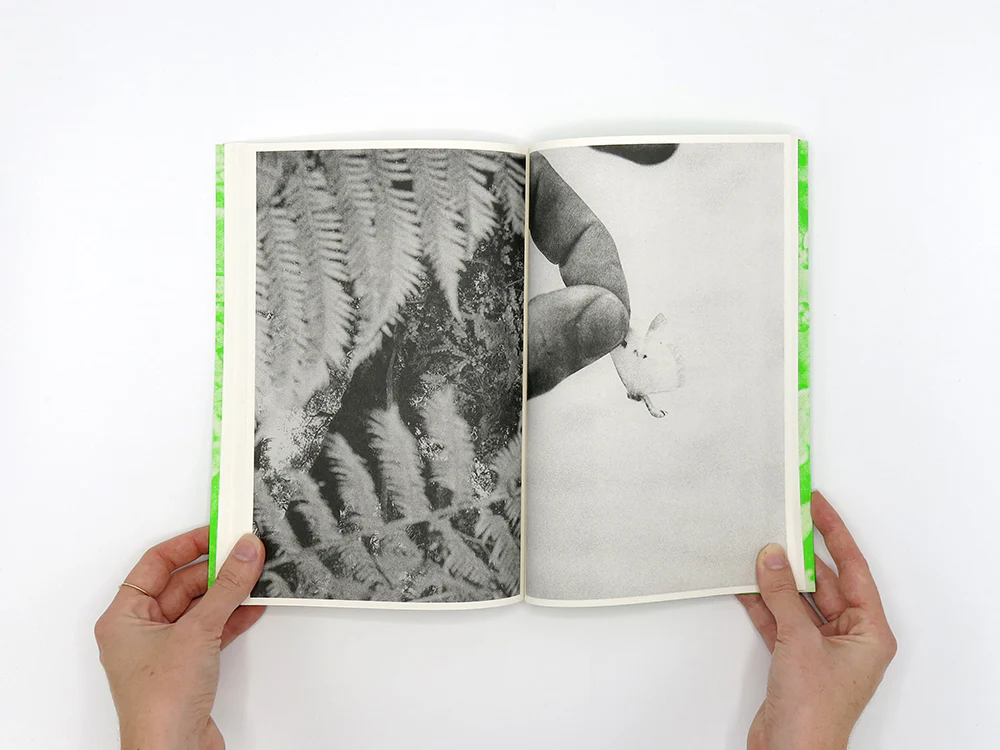 Luke Le – What are you looking for? [Second Edition] - Image 10