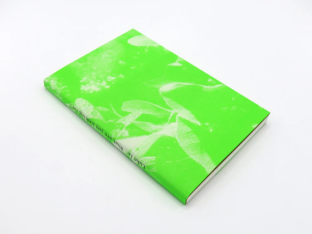 Luke Le – What are you looking for? [Second Edition] - Image 12