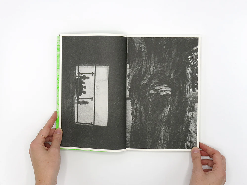 Luke Le – What are you looking for? [Second Edition] - Image 2