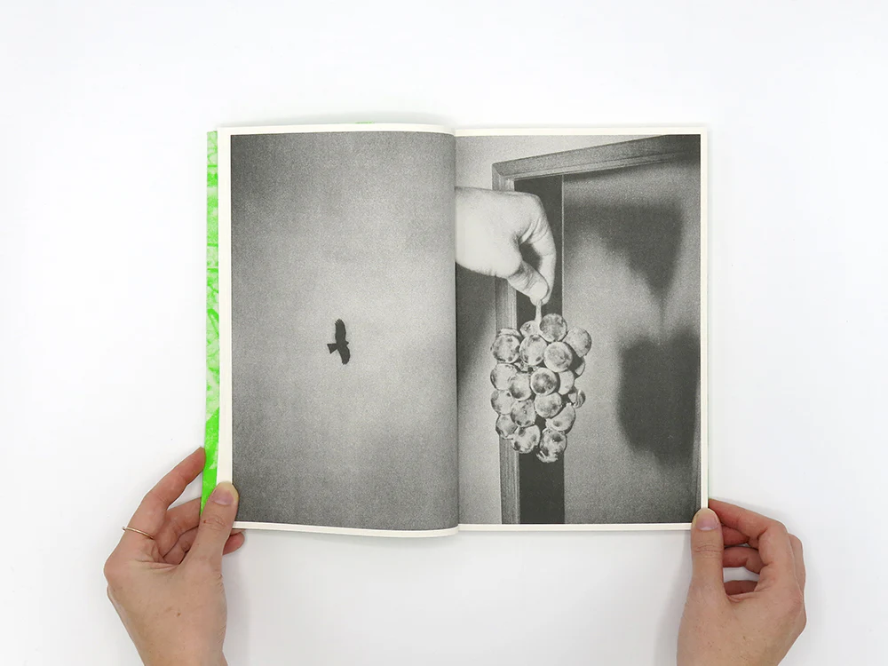 Luke Le – What are you looking for? [Second Edition] - Image 3