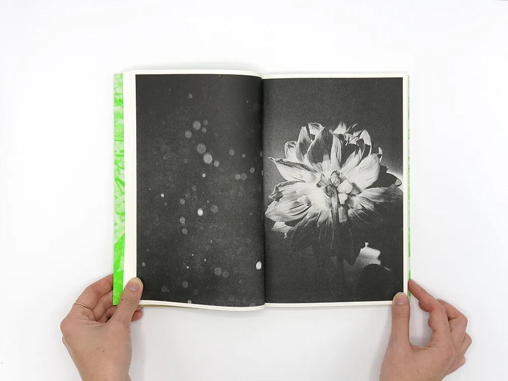 Luke Le – What are you looking for? [Second Edition] - Image 4