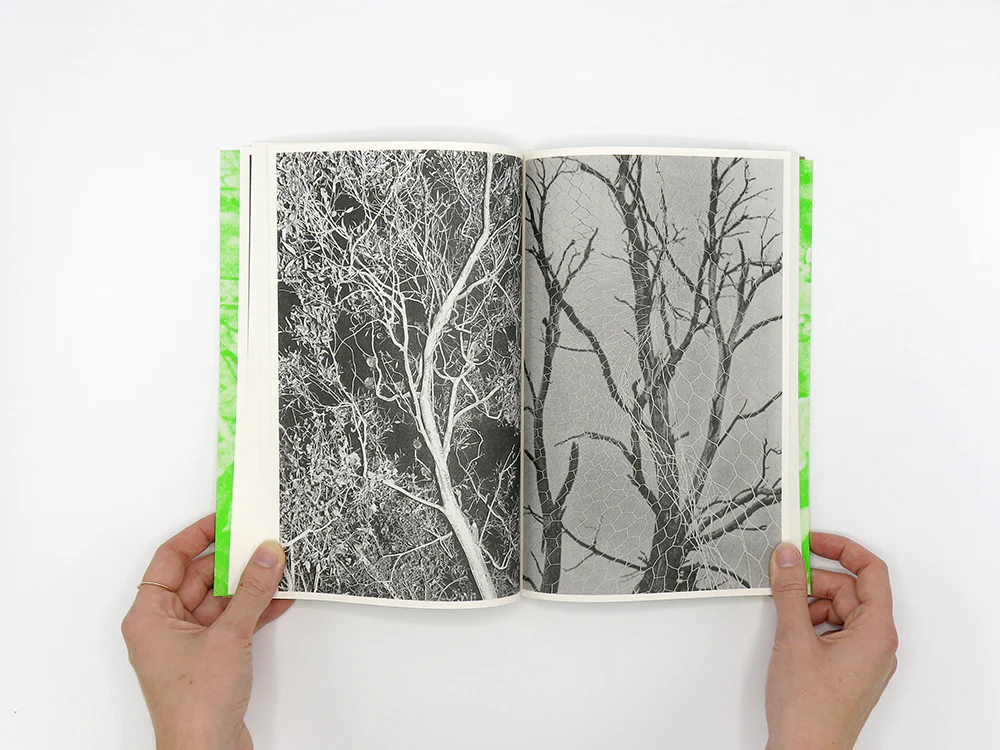 Luke Le – What are you looking for? [Second Edition] - Image 7