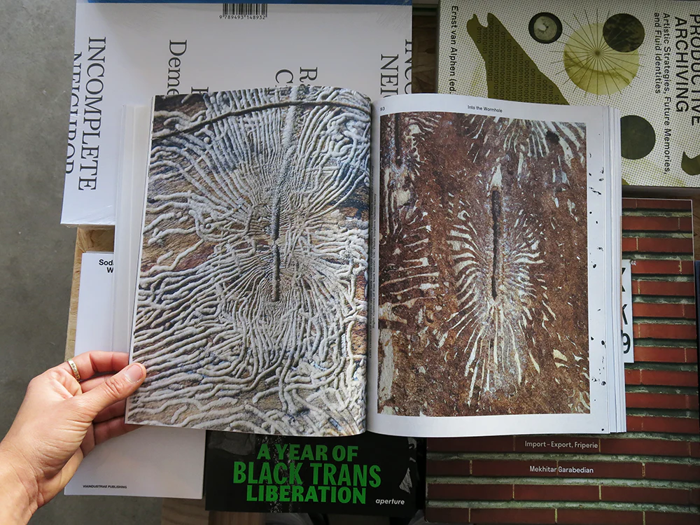 MacGuffin 12: The Log - Image 8