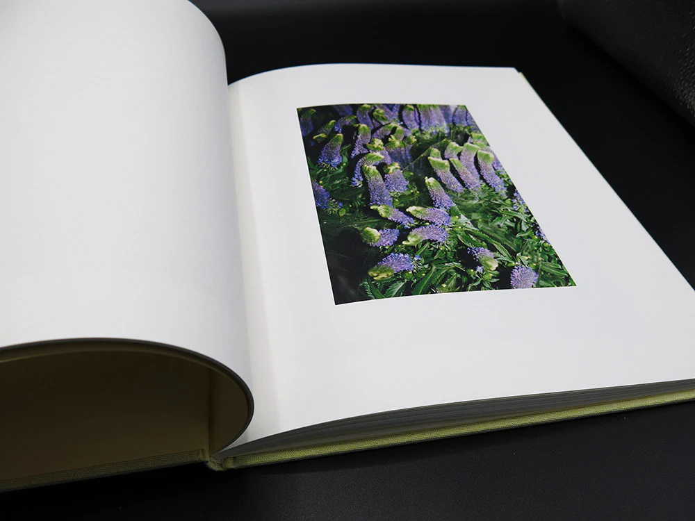 Mansur Gavriel — LA Flower Market (Rare) - Image 4