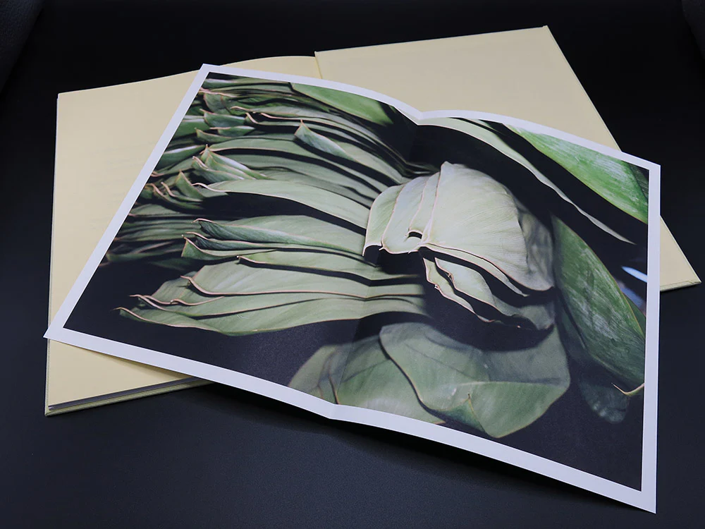 Mansur Gavriel — LA Flower Market (Rare) - Image 8