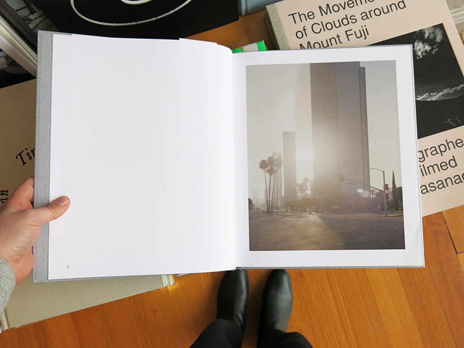 Marie-Jose Jongerius - Los Angeles Palms - Image 2