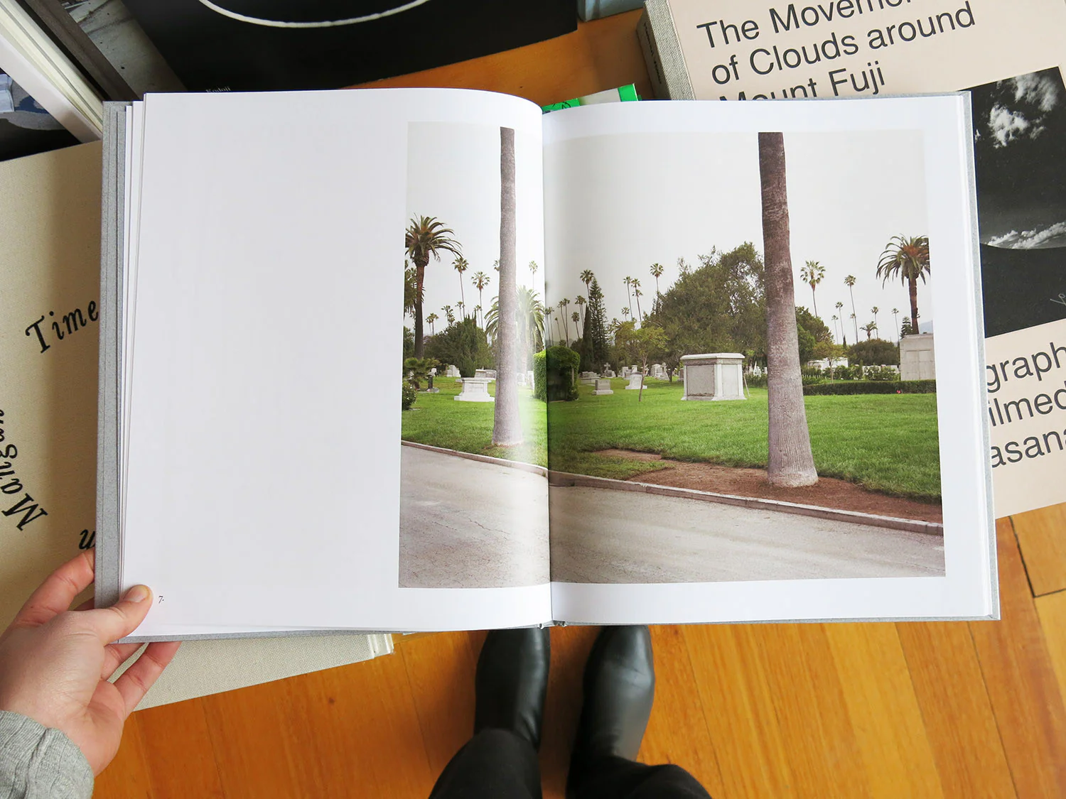 Marie-Jose Jongerius - Los Angeles Palms - Image 4