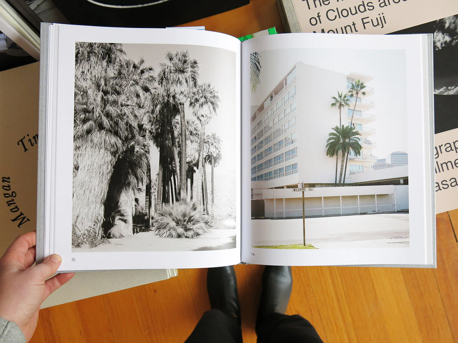 Marie-Jose Jongerius - Los Angeles Palms - Image 5