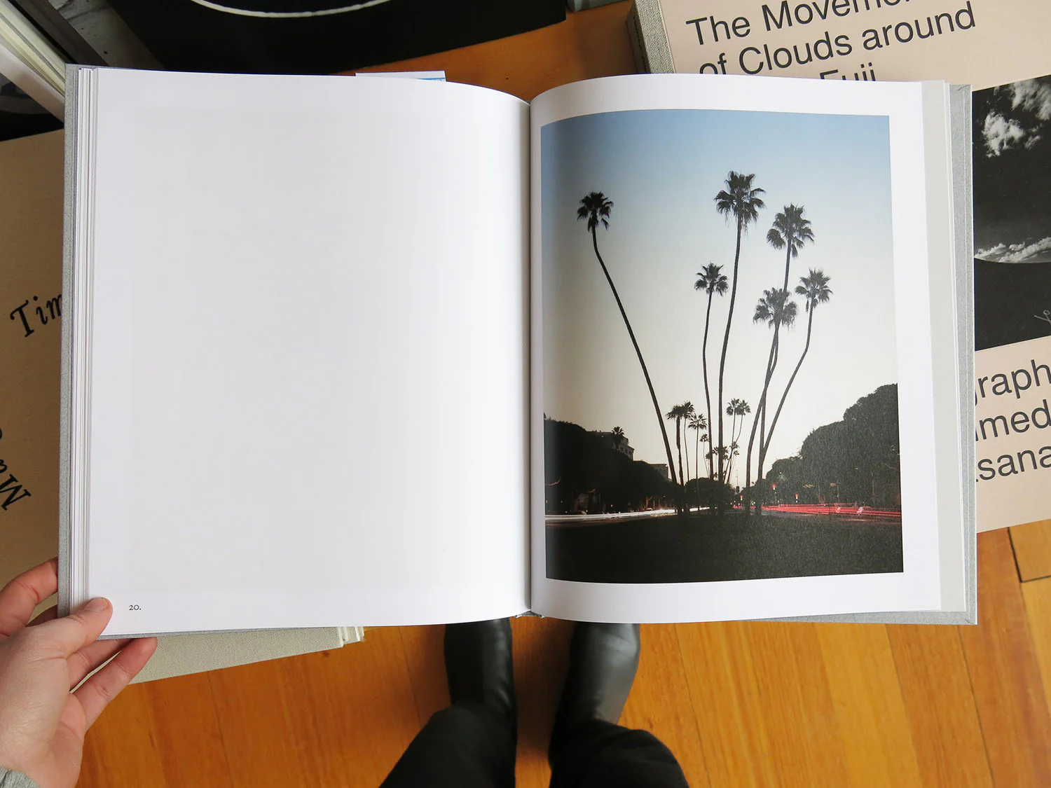 Marie-Jose Jongerius - Los Angeles Palms - Image 6