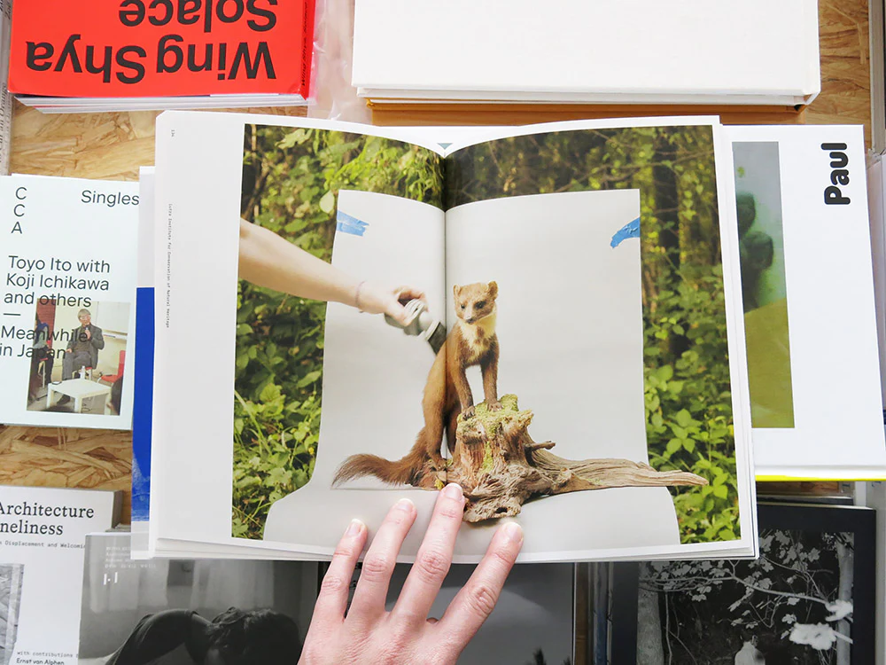 PRE-ORDER: Marina Caneve — On the ground among the animals - Image 10