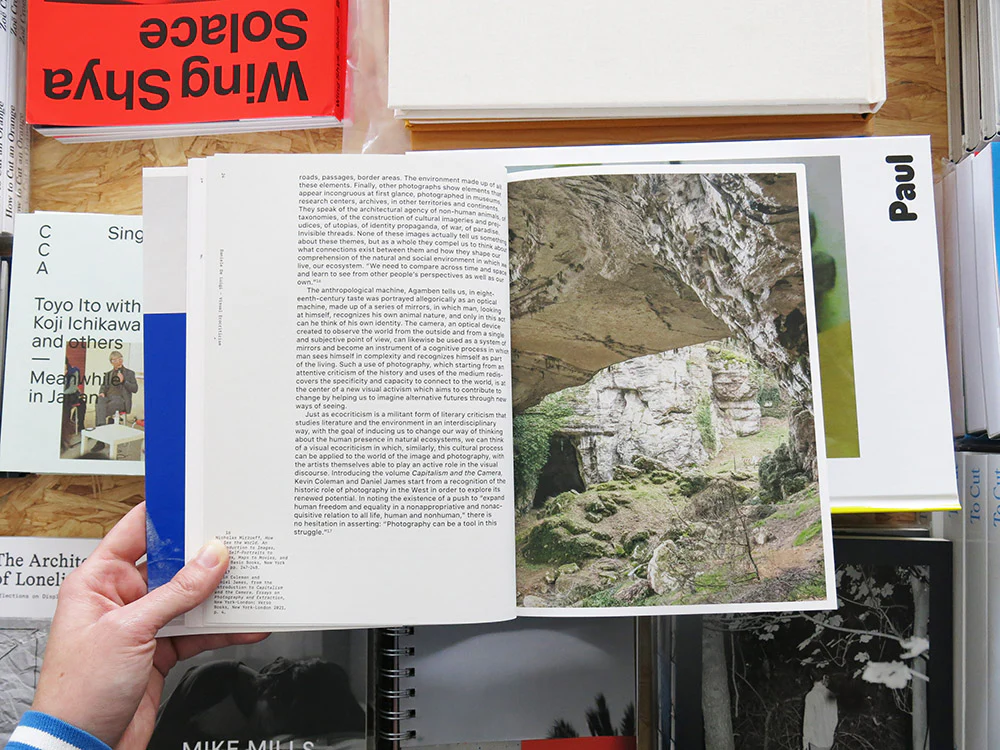 PRE-ORDER: Marina Caneve — On the ground among the animals - Image 3