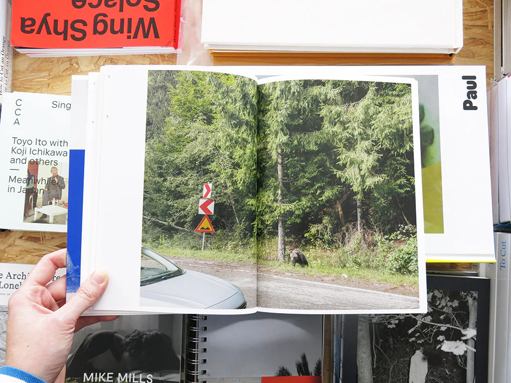 PRE-ORDER: Marina Caneve — On the ground among the animals - Image 4
