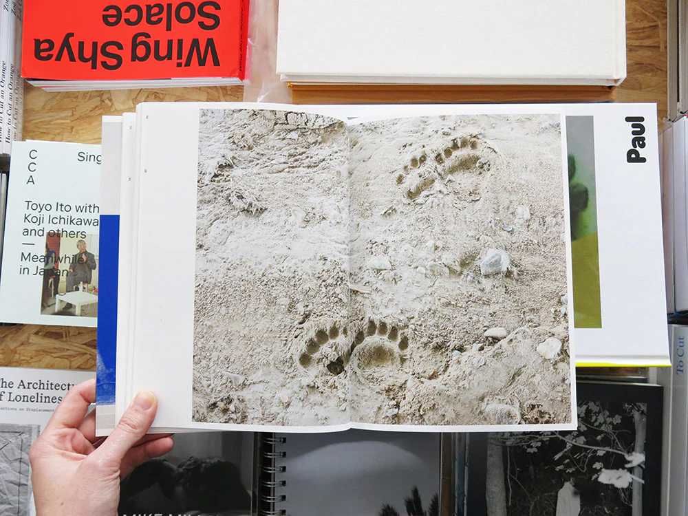 PRE-ORDER: Marina Caneve — On the ground among the animals - Image 5