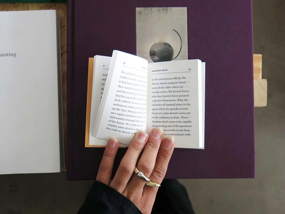 Mario Bellatin – Mishima's Head - Image 3