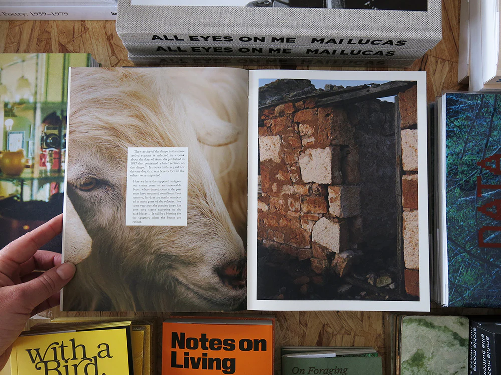 Matt Dunne – Ten Eighty - Image 7