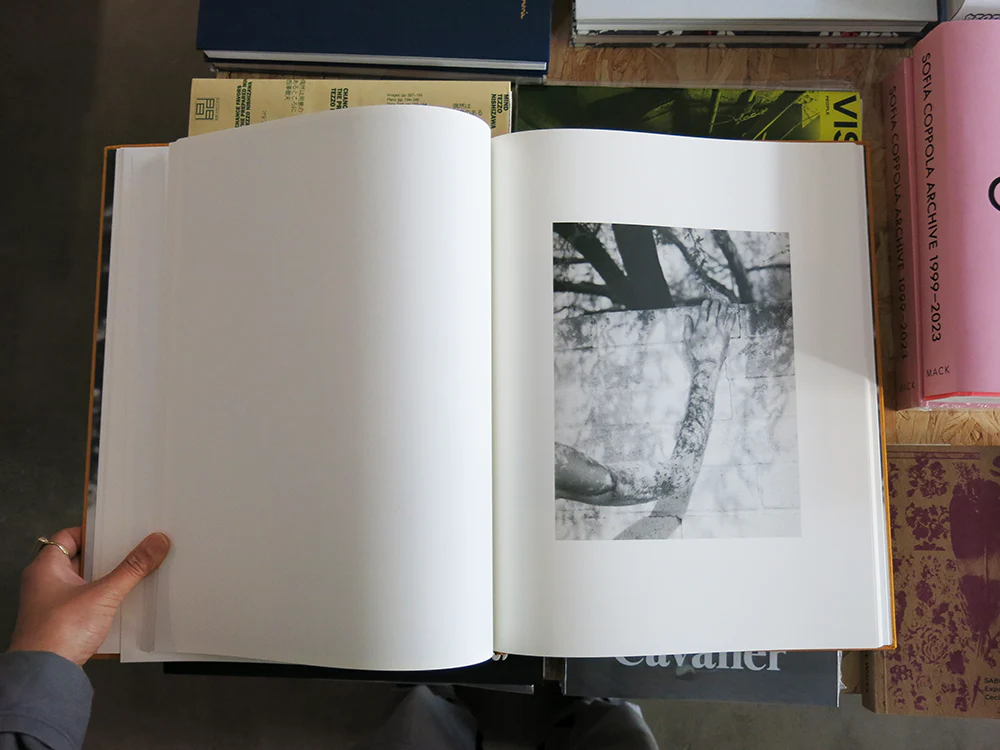 Matthew Genitempo – Dogbreath - Image 7