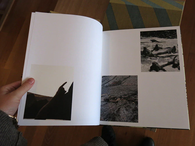 Matthew Porter - Archipelago - Image 2
