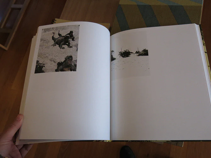 Matthew Porter - Archipelago - Image 6