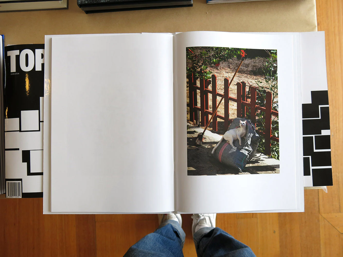 Max Creasy - Casual Relationships - Image 5