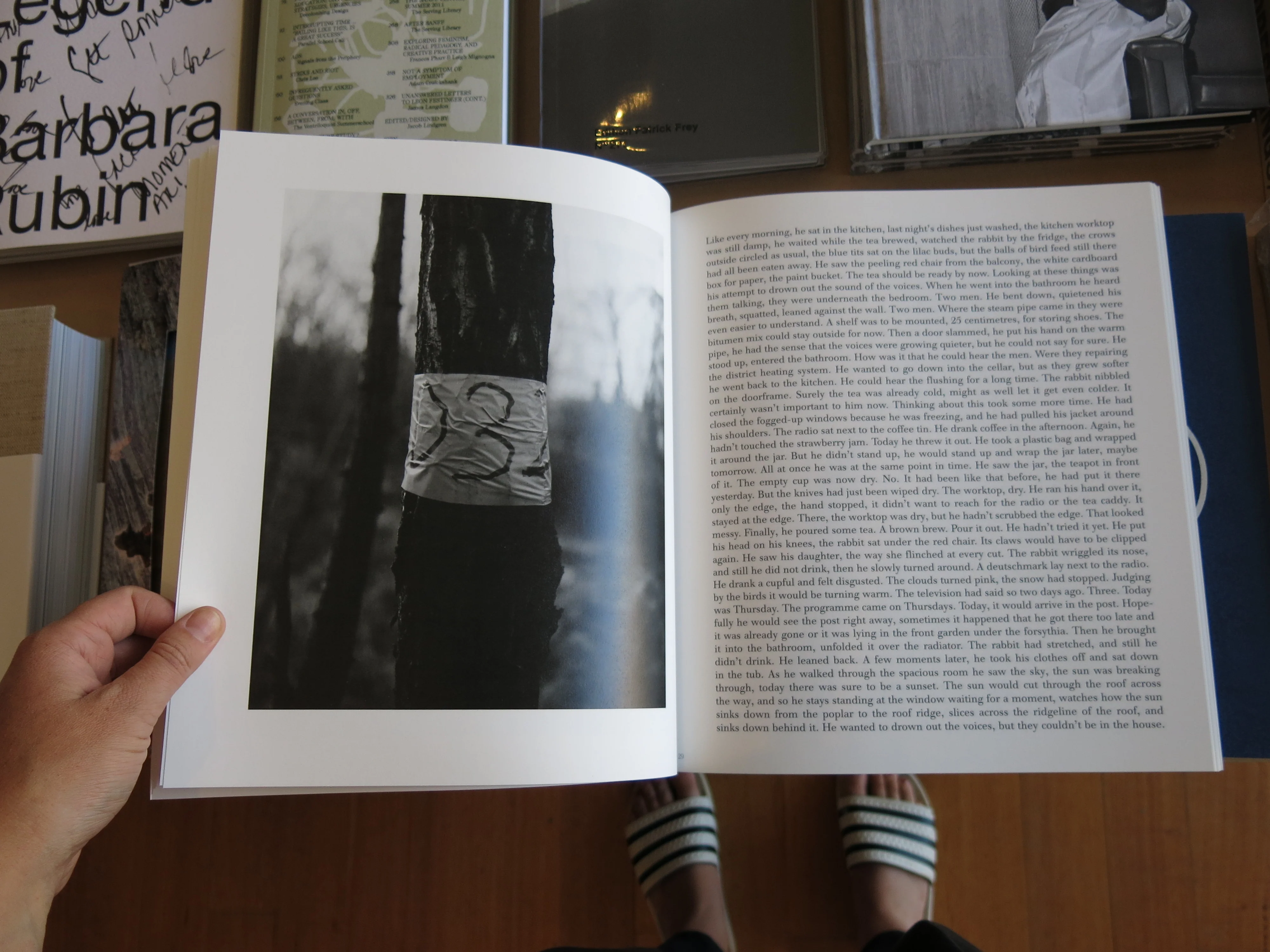 Michael Schmidt – Waffenruhe - Image 4