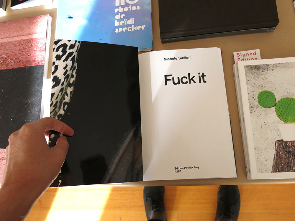 Michele Sibiloni - Fuck It - Image 2