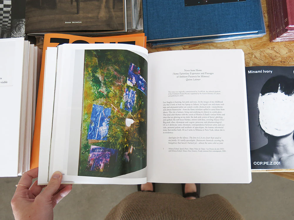 Mimosa Echard: Lies - Image 4