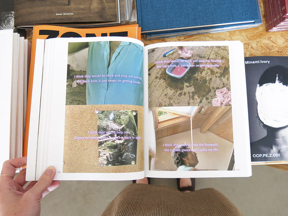 Mimosa Echard: Lies - Image 6