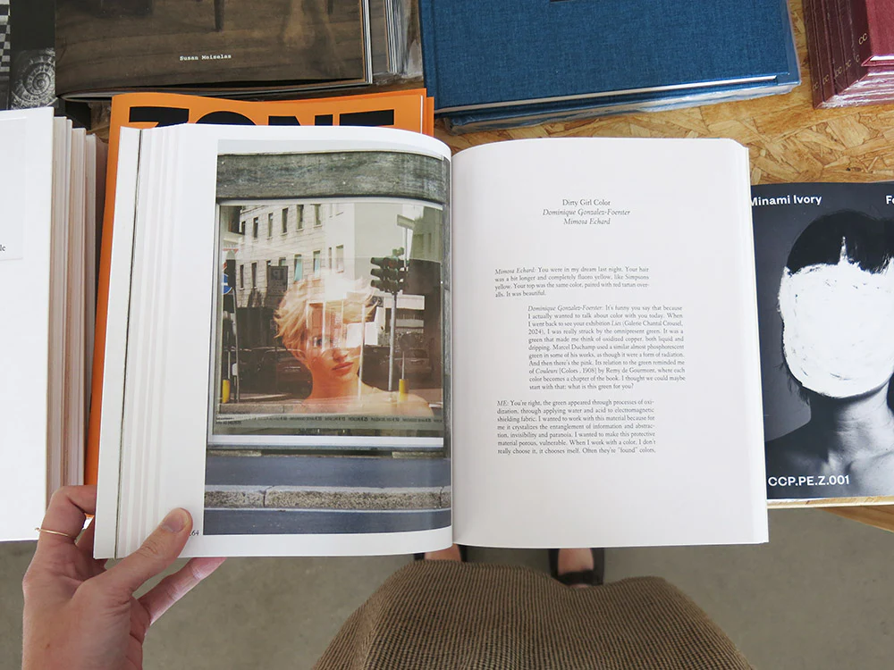 Mimosa Echard: Lies - Image 7
