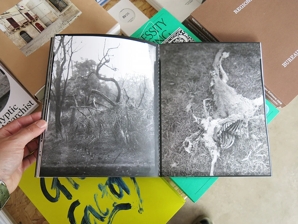 Morganna Magee – Extraordinary Experiences - Image 7