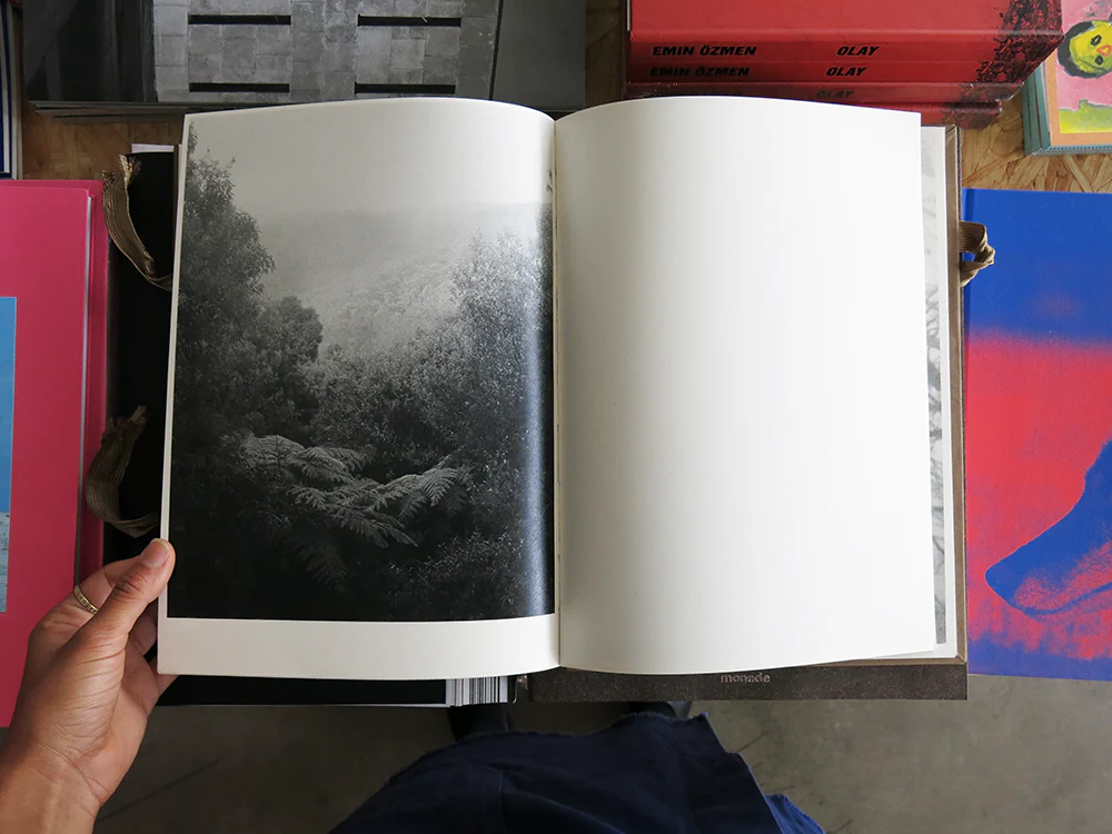 Morganna Magee – Phenomena - Image 3