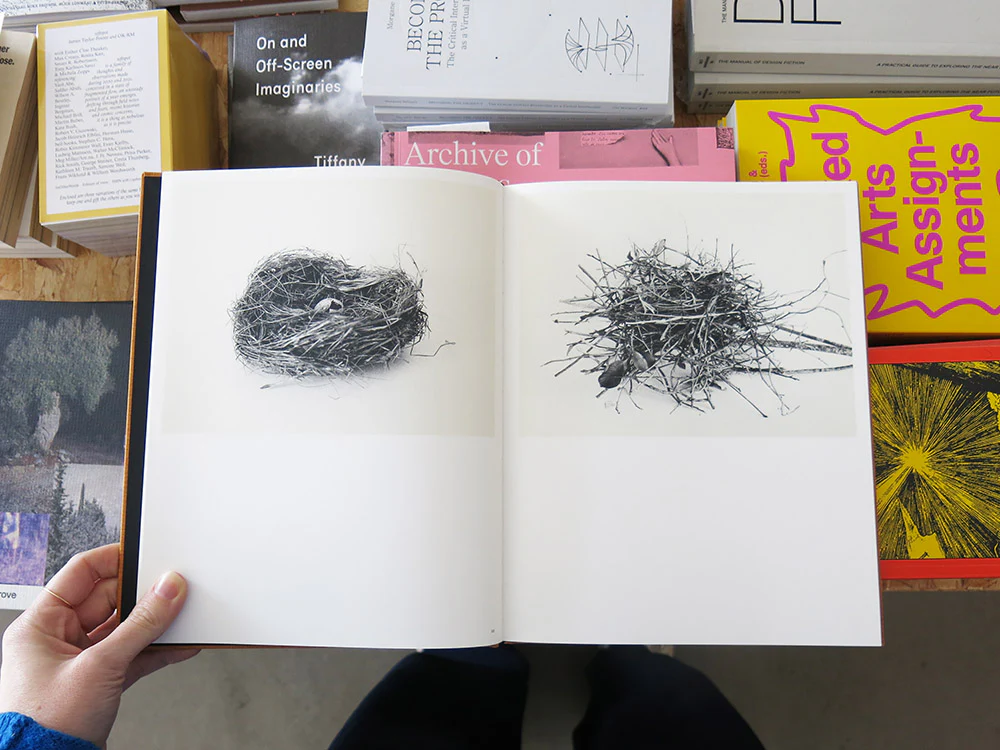 PRE-ORDER: Nathalie Baetens – On Birds (Des oiseaux) - Image 2