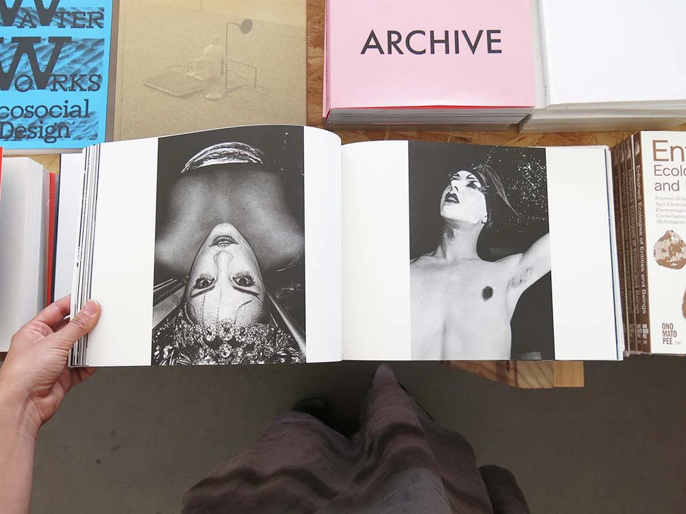 Nick Haymes – Dancing on the Fault Line - Image 3