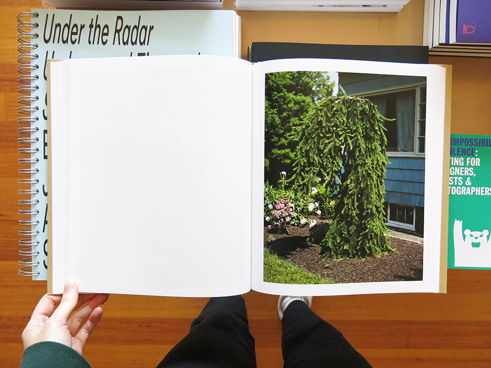 Nick Meyer – The Local - Image 6