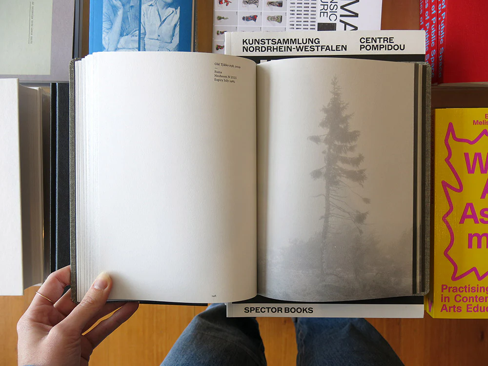 Nicolai Howalt – Old Tjikko - Image 8