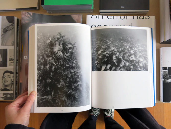 Nicolas Floc'h - Glaz - Image 5
