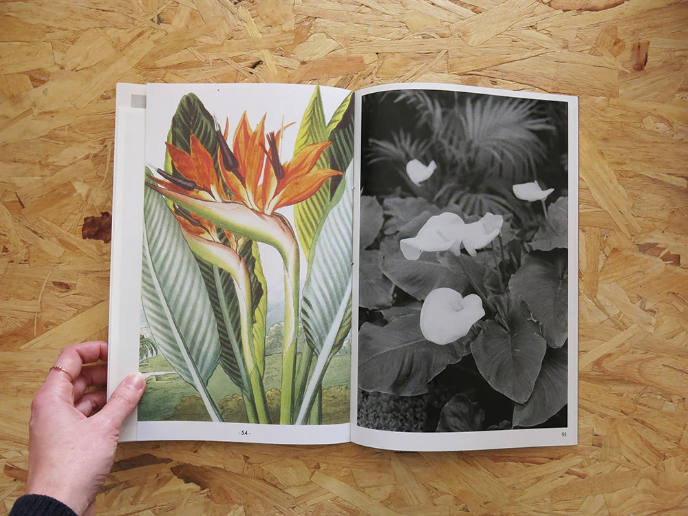 Oriane Thomasson – Paradis - Image 7