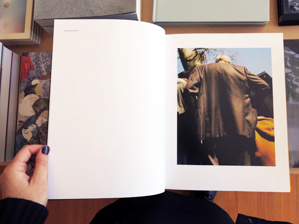 Palm Book - Image 2