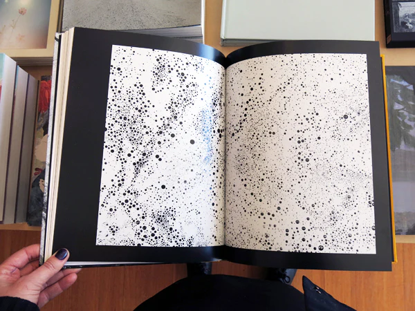 Palm Book - Image 6