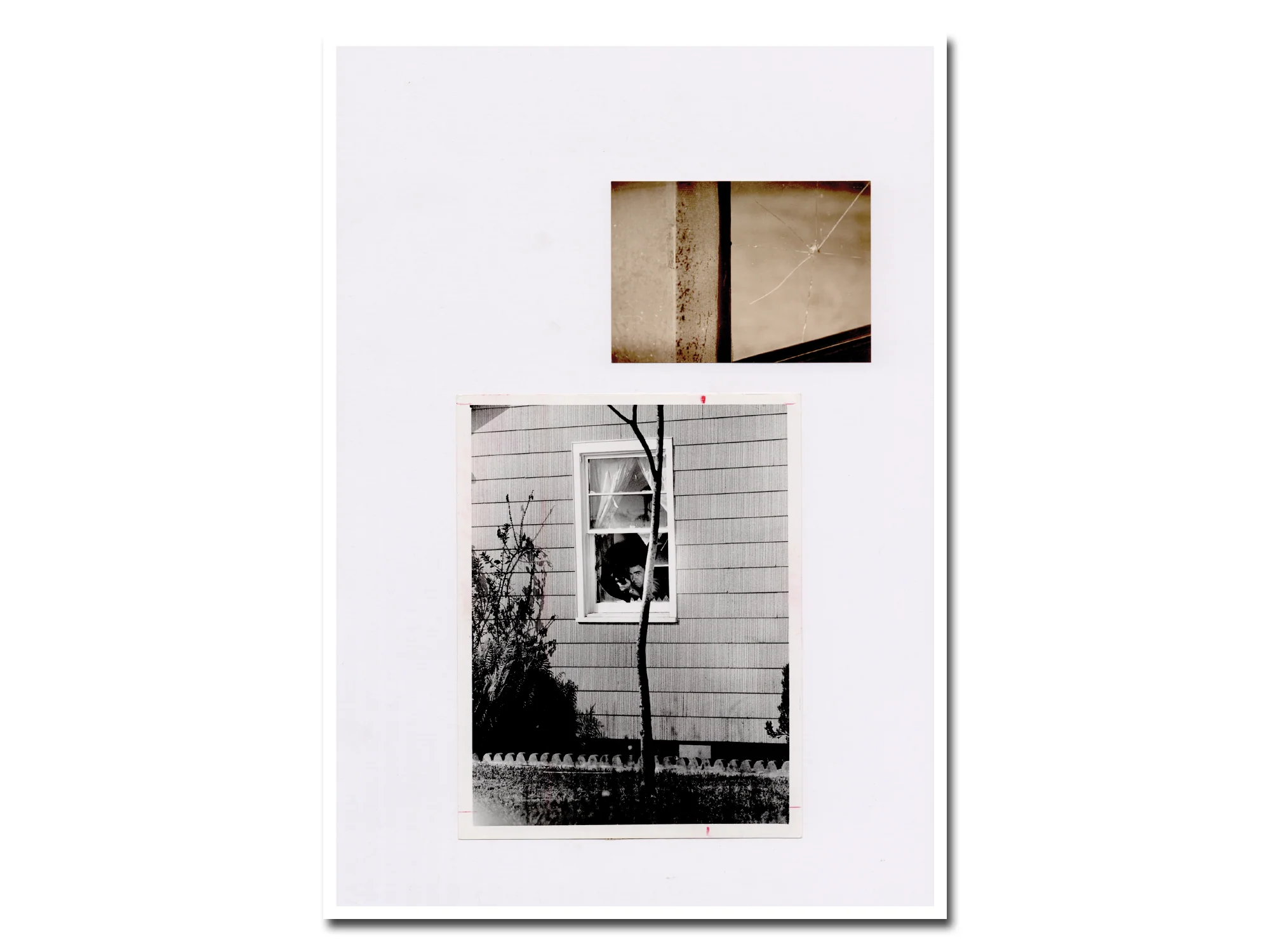 Patrick Pound – Windows - Image 13