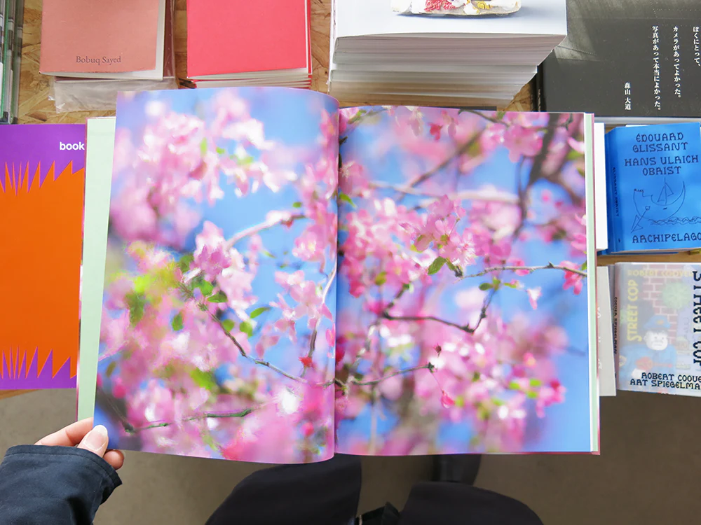 Paul Graham – Verdigris / Ambergris - Image 12