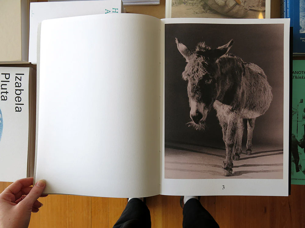 Paul Kooiker – The Rumour - Image 3